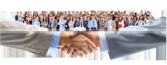 CE GS Elastic Tie Down belt ratchet tie down metal ratchet strap cheap ratchet straps