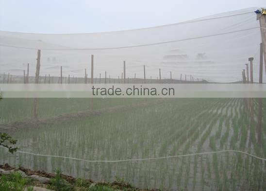 for agriculture and vegetable and fruit use Anti-insect Net