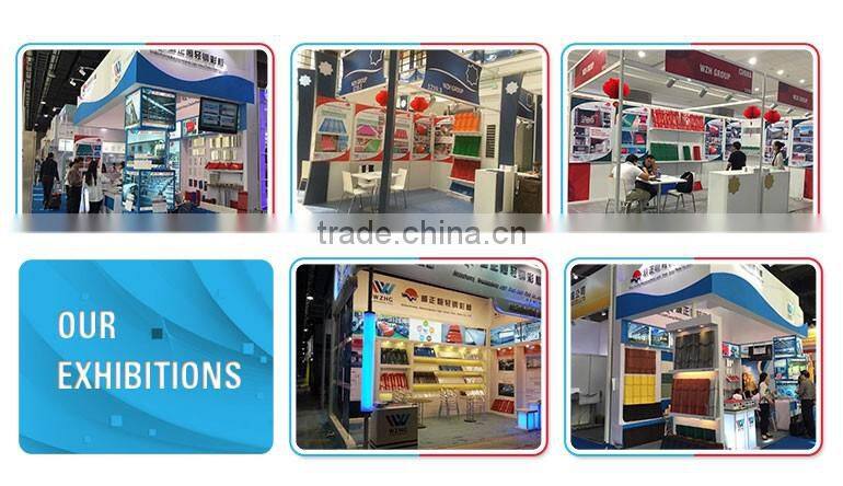 Hot sale double swing sanwich panel doors /Cleanroom panel Door /Single swing entry Door