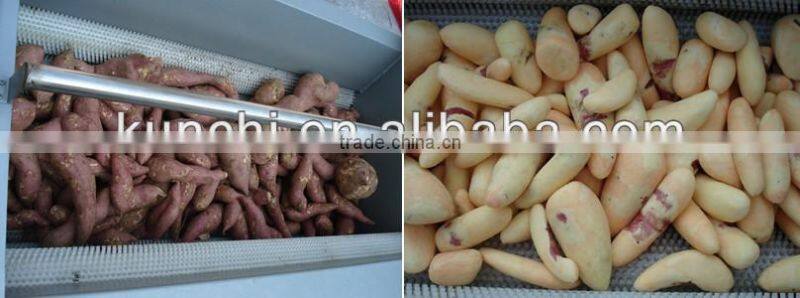 Most popular carrot/potato/onion peeling and washing machine