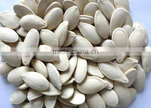 Good Service High Output Pumpkin Seeds Color Sorting Machinery
