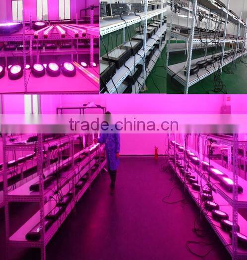 2016 indoor use high power LED grow light 5W COB chip led grow light