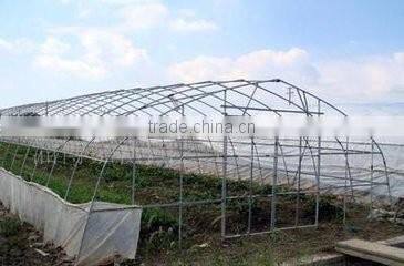 High quality 12m multi-span agricultural plastic houses for vegetables