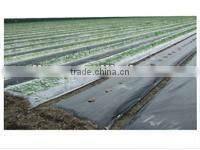 eco-friendly biodegradable agriculture cover