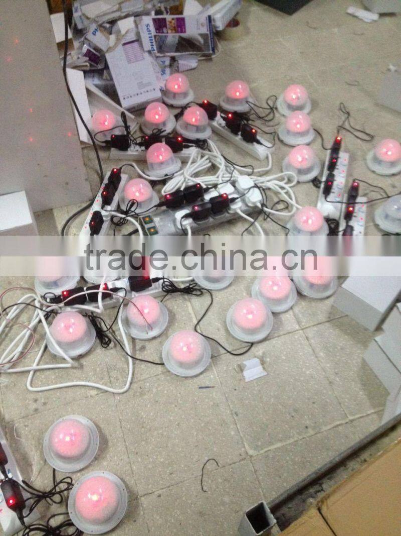 Small battery operated fairy ball led lights