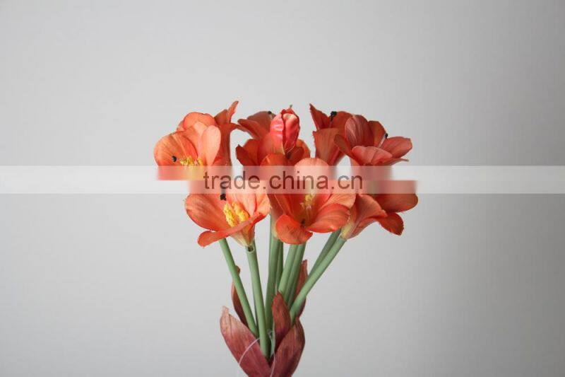 Natural clivia fabric Clivia decorative clivia artificial clivia flower for wholesale