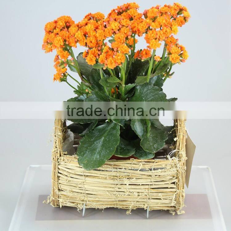 Natural Rattan Flower Pot for Garden Ornaments