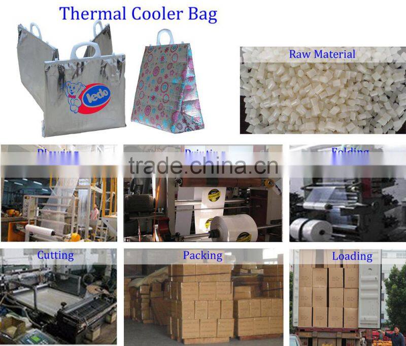 Promotional Market Custom Plastic Insulated Aluminum Film Cooler Bag Thermal Bag