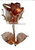 Copper Plated Natural Rose