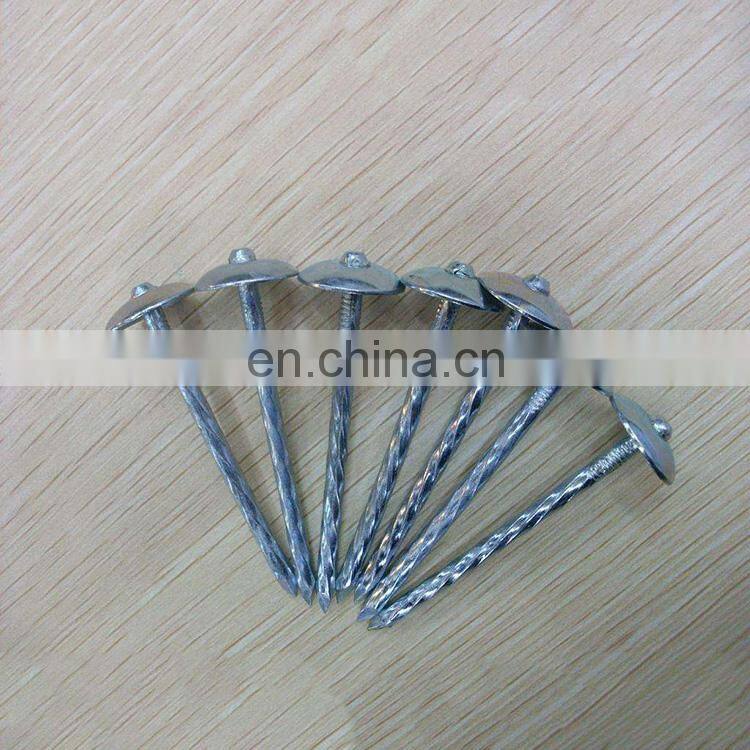 China products good quality galvanized steel corrugated nail