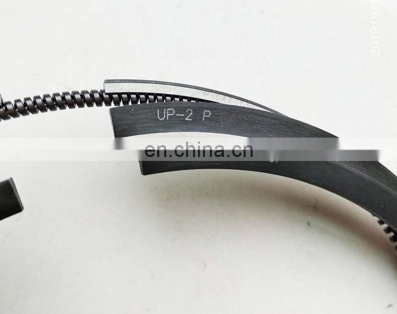 Diesel Engine  Piston Ring Set 1534101 153-4101