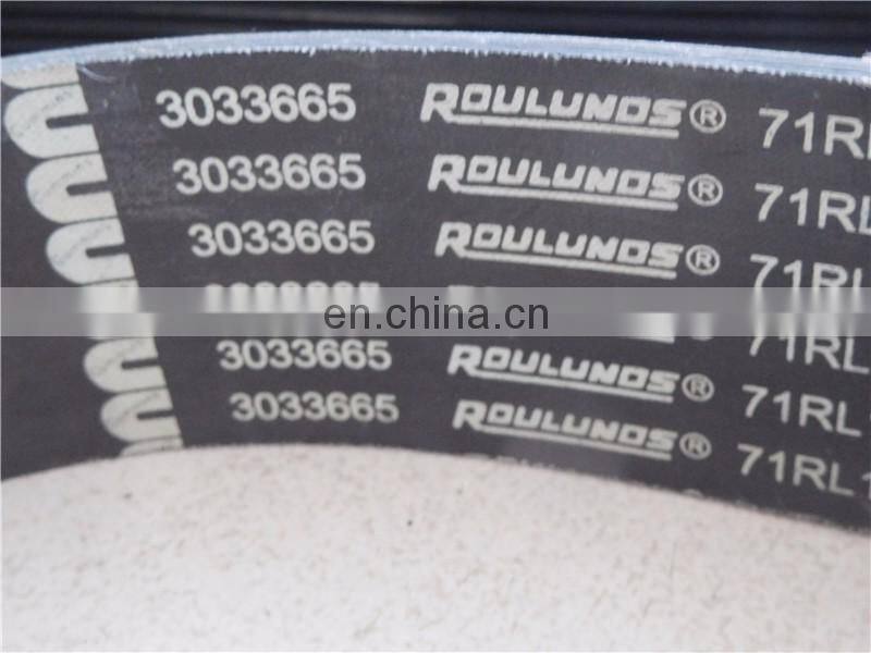 3033665 belt