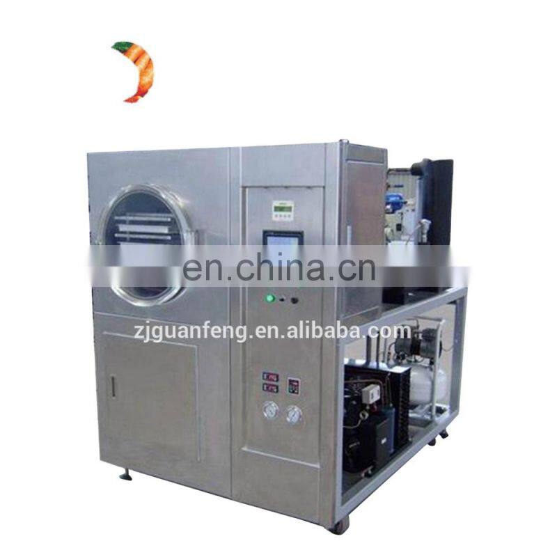 Berries Grapes Vacuum Freeze Raisins Dryer Equipment Machine
