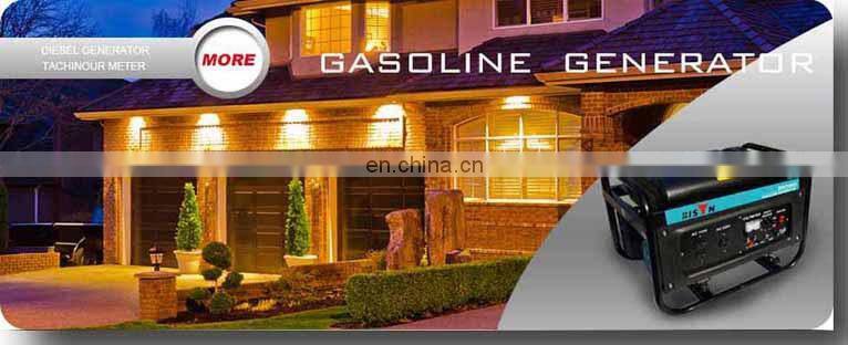 BISON China Find Champion Hot Sale Portable 5KW Generator from China