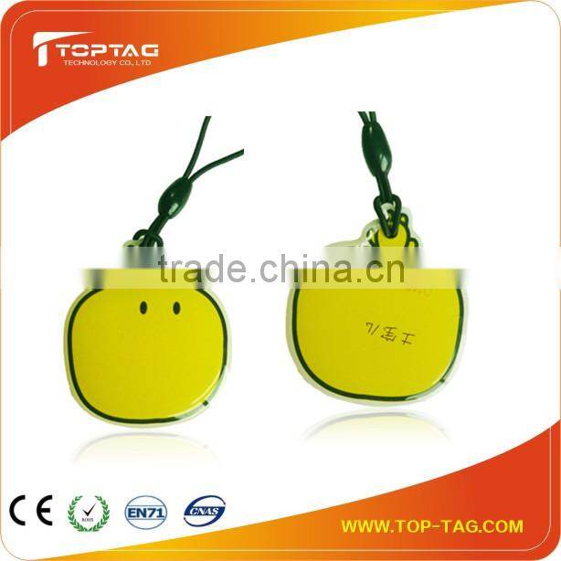 Cute 125KHZ/13.56MHZ RFID Epoxy tag