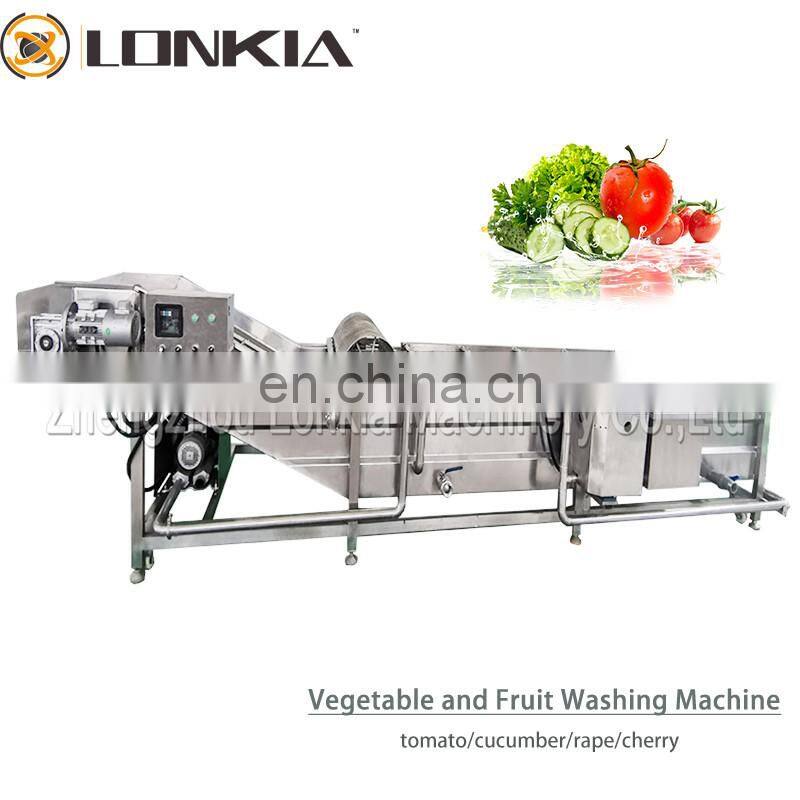 Commercial Small Fruit Bubble Washing Machine Tomatoes Pepper Bubble Washer for Fruit Vegetable