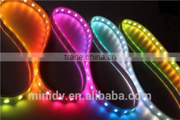 5050 SMD 30/60LED/M RGB Full Color Dream Color WS2812 LED Strip Light with IP67 Waterproof Tube