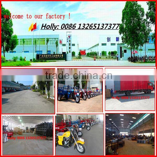 brushless electric cargo trike/large loading cargo bike/bakfiets/ three wheels motorcycle for sale