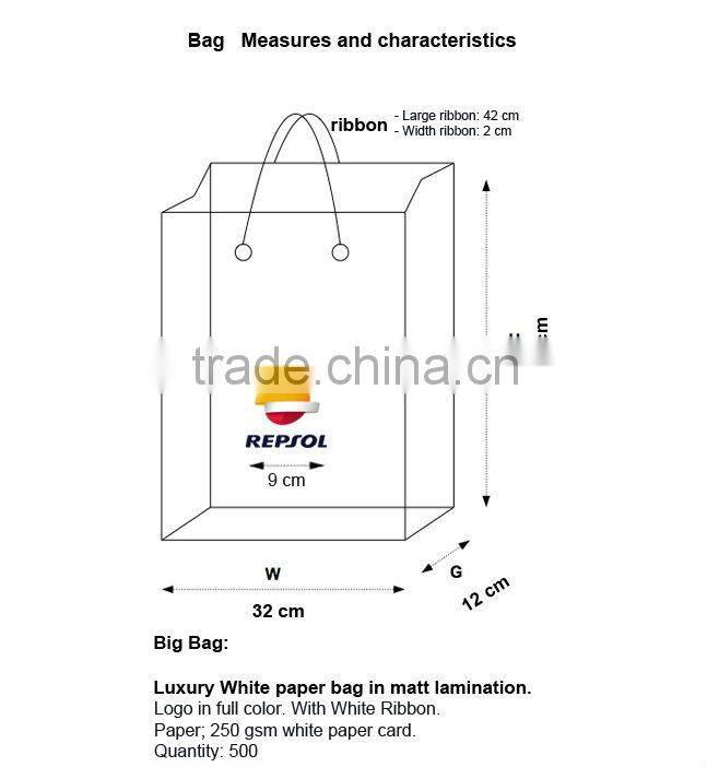 2014 Shopping paper bag