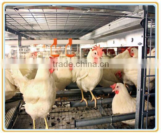 4 tier wire mesh chicker cage,layer chicken cage for sale