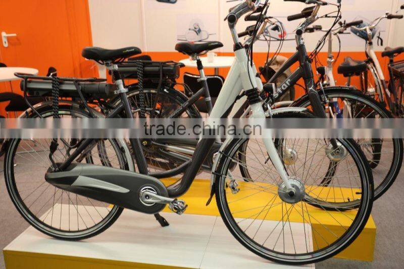 mid motor electric moutain bike