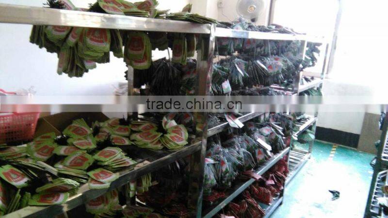 most popular and good quality favorable customized hanging paper car air freshener