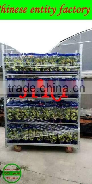 he Netherlands Denmark trolley, trolley, trolley, flower floats, car tools, greenhouse car, car cost, greenhouse trolley, trolle