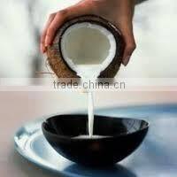 Coconut Milk Powder Organic