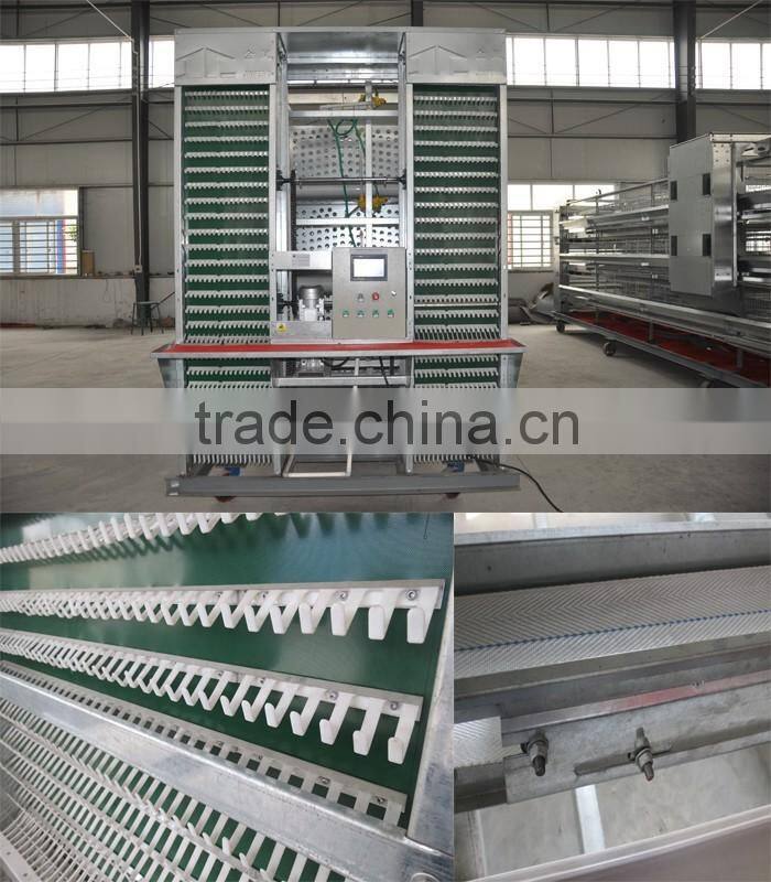 Chicken farm south africa egg layer cages