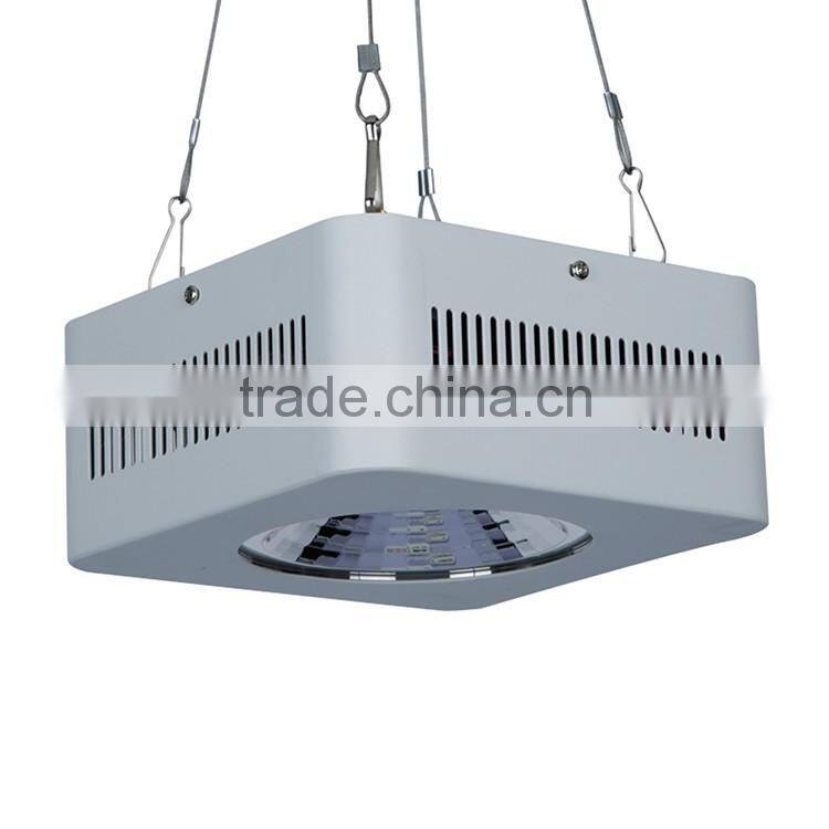 Shenzhen Lamp Manufactory Super Performance High Power 30W 50W 80W 100W 150W Chip on Board Lights 130W COB LED Plant Grow Lamp
