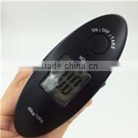 WH-C300 300kg/100g electronic crane digital weighing scale