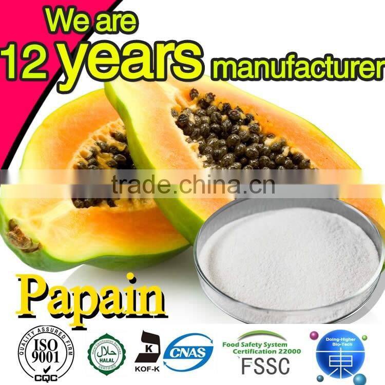 100% natural High quality factory supply papaya powder in Dried Fruit