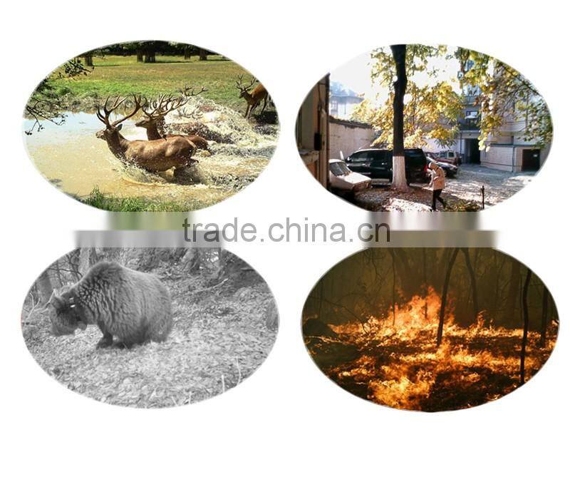 Night vision video hunting camera infrared motion detection