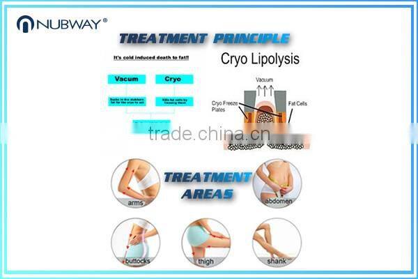 Hot promotion!!!!! 2016 Newest Beauty Equipment Cryolipolysi Fat Reducing Machine