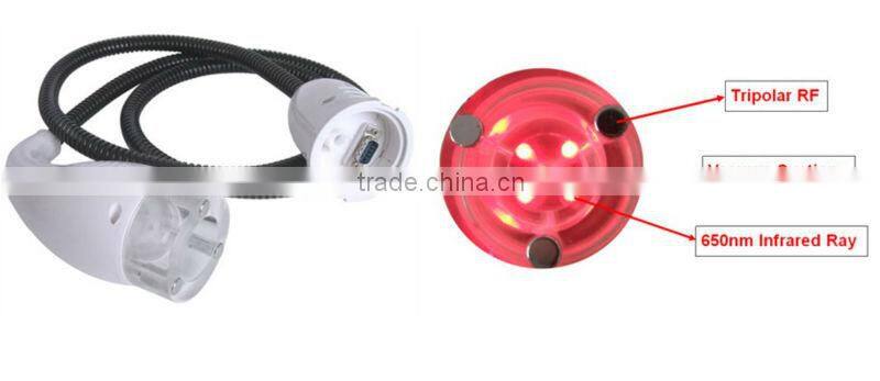 Professional companies looking for agents distributors