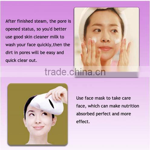 Competitive Electric Ionic Portable Mini Facial Steamer