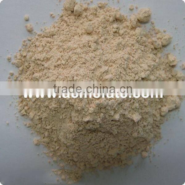 Dehydrated Garlic Wholesale Best Price Garlic Granules