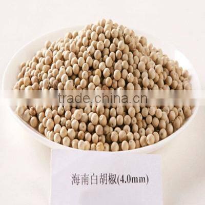 Top Quality New crop 400g/l White Pepper