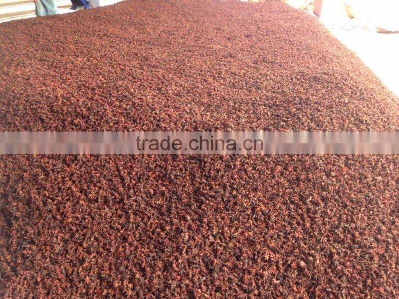 VIETNAM SPRING STAR ANISEED, HIGH QUALITY, BEST PRICE (+841657106604 - WHATSAPP)