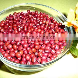 JSX affordable prices adzuki beans excellent small red mung bean