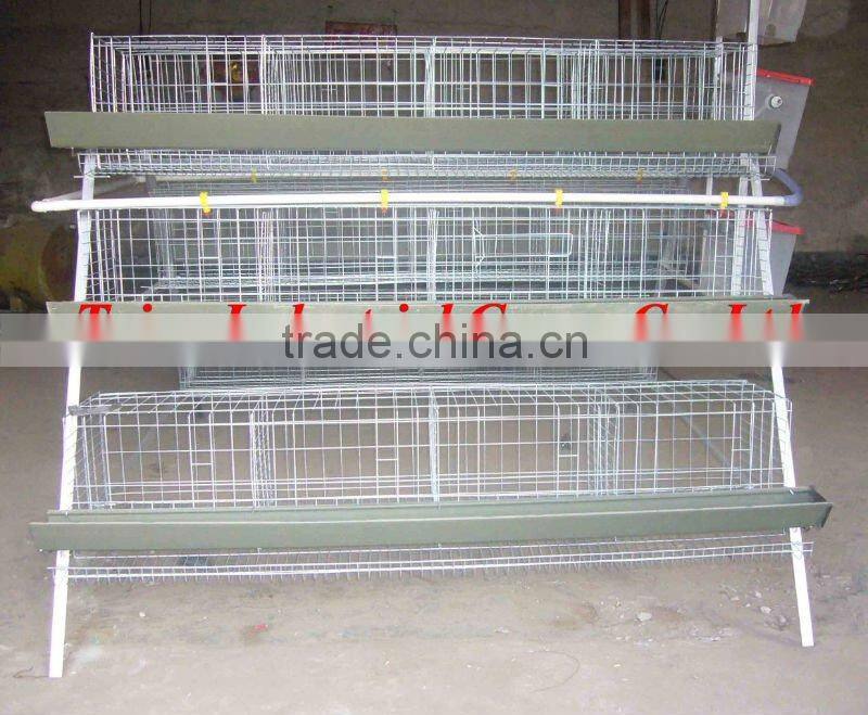 China/Chinese poultry farm layer cage