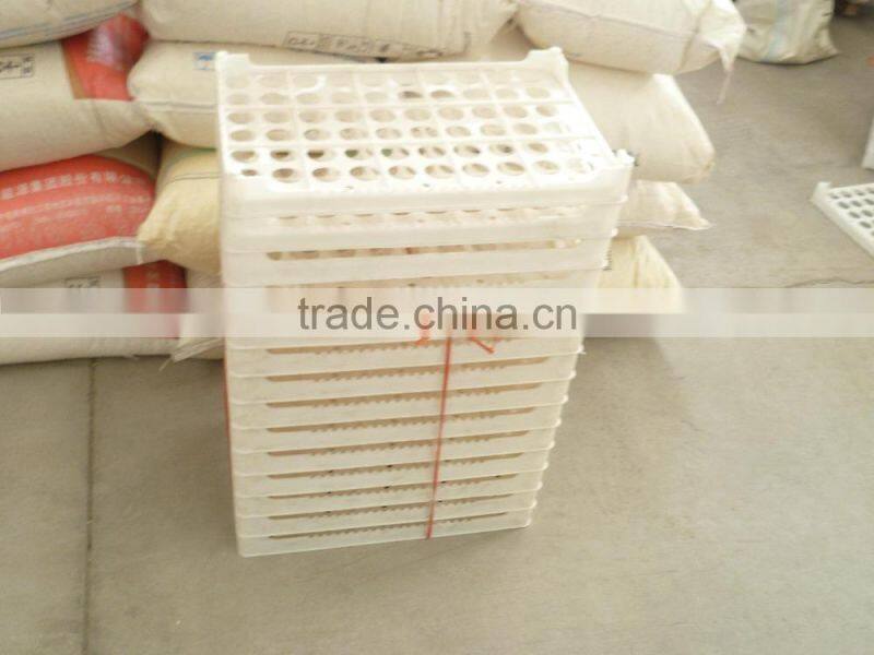 hatching eggs plastic egg tray