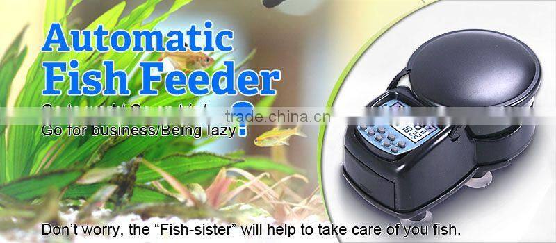 Long time programmable automatic fish bowl