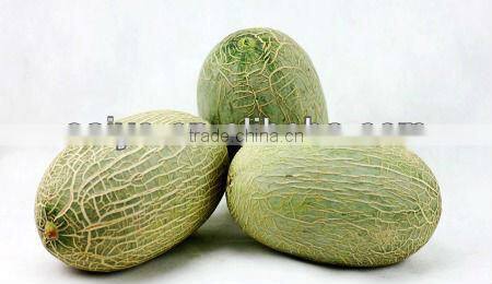 hot sale hot sale fruit peeler/ apple peeler