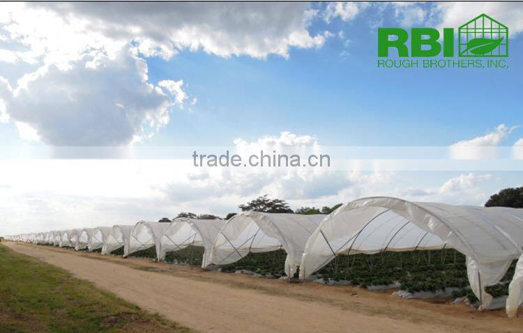 Tunnel plastic Greenhouse for agriculture low cost