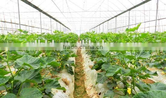 Plastic Greenhouse With Greenhouse film Lock Channel