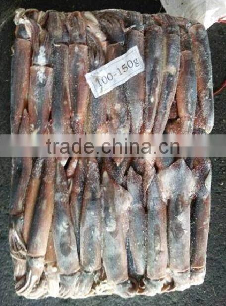 Frozen Illex Argentinus Squid