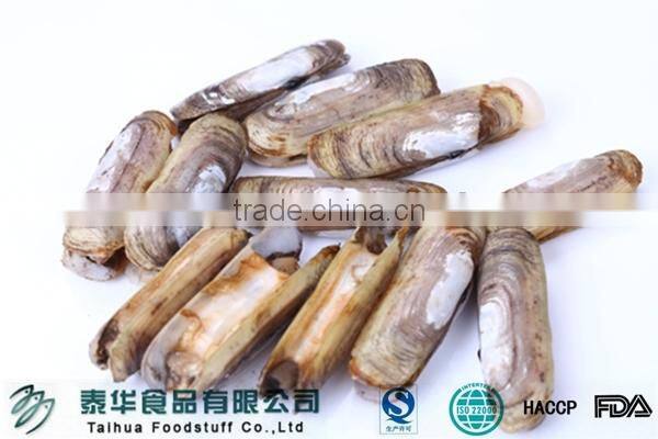 Seafood Importer Clam Meat Shellfish Seafood Frozen