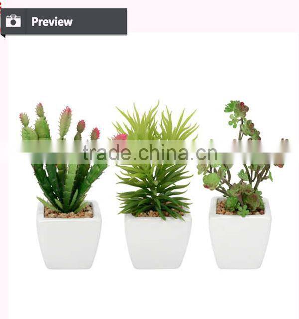 Artificial succulent combination mini succulent potted High quality mini artificial catus