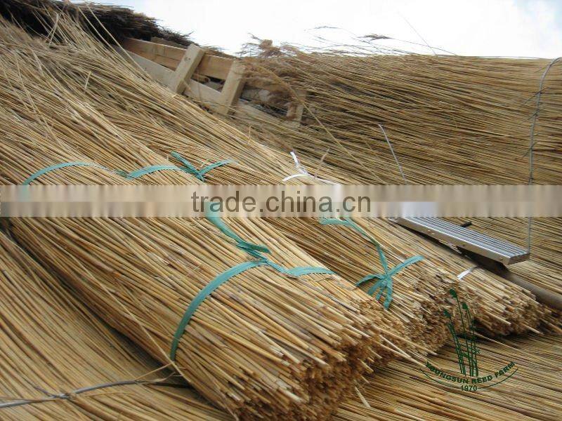 thatch roofing reed